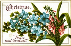 Peace and Goodwill thumb