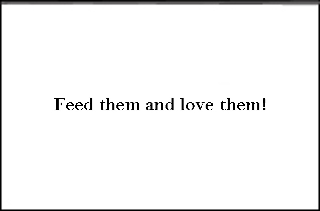 Pumpkins inside text - Feed them and love them!